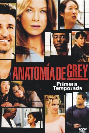 Anatomía de Grey temporada 1