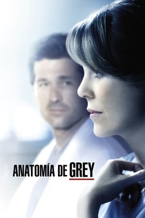 Anatomía de Grey temporada 11