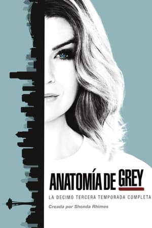 Anatomía de Grey temporada 13