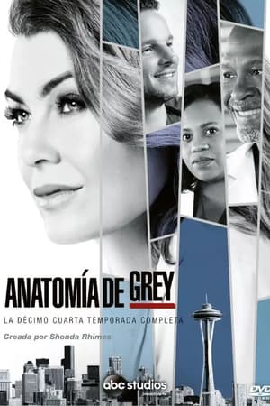 Anatomía de Grey temporada 14