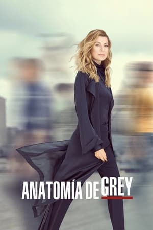 Anatomía de Grey temporada 16