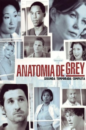 Anatomía de Grey temporada 2