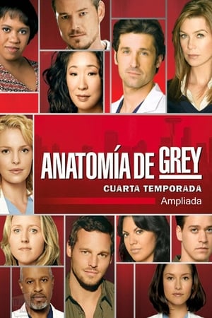 Anatomía de Grey temporada 4