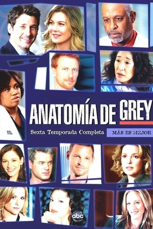 Anatomía de Grey temporada 6