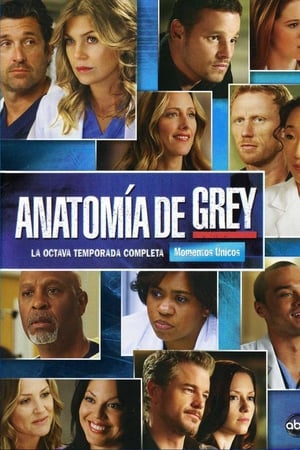 Anatomía de Grey temporada 8