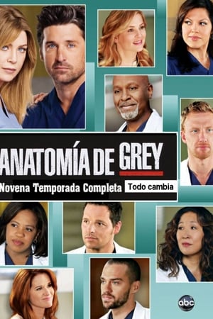 Anatomía de Grey temporada 9