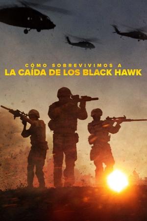 Ver Cómo sobrevivimos a la caída de los Black Hawk en Streaming