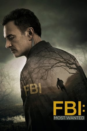 FBI: Most Wanted temporada 1