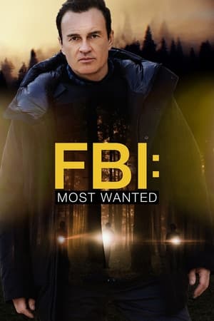 FBI: Most Wanted temporada 3