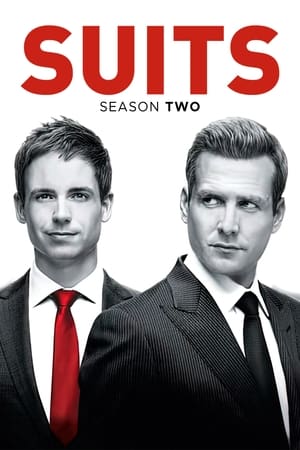 Suits: la clave del éxito temporada 2