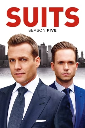 Suits: la clave del éxito temporada 5