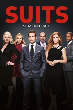 Suits: la clave del éxito temporada 8